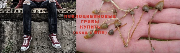 спиды Ладушкин