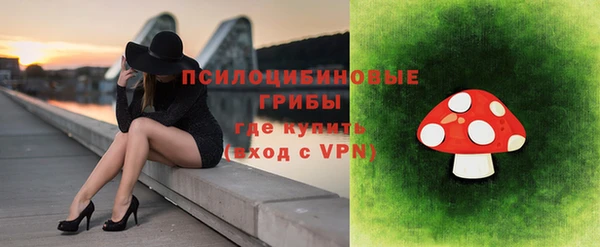 спиды Ладушкин