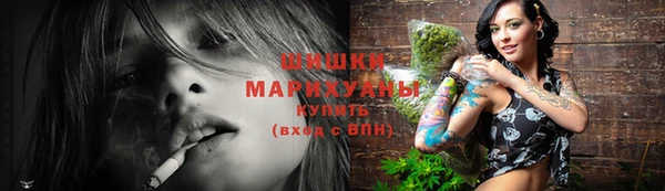 молекула духа Лабытнанги