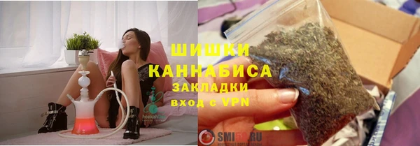 прущие грибы Кулебаки