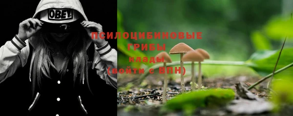 прущие грибы Кулебаки