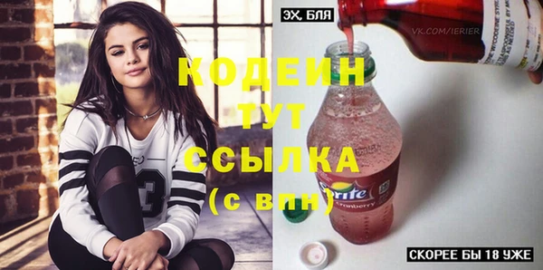 прущие грибы Кулебаки